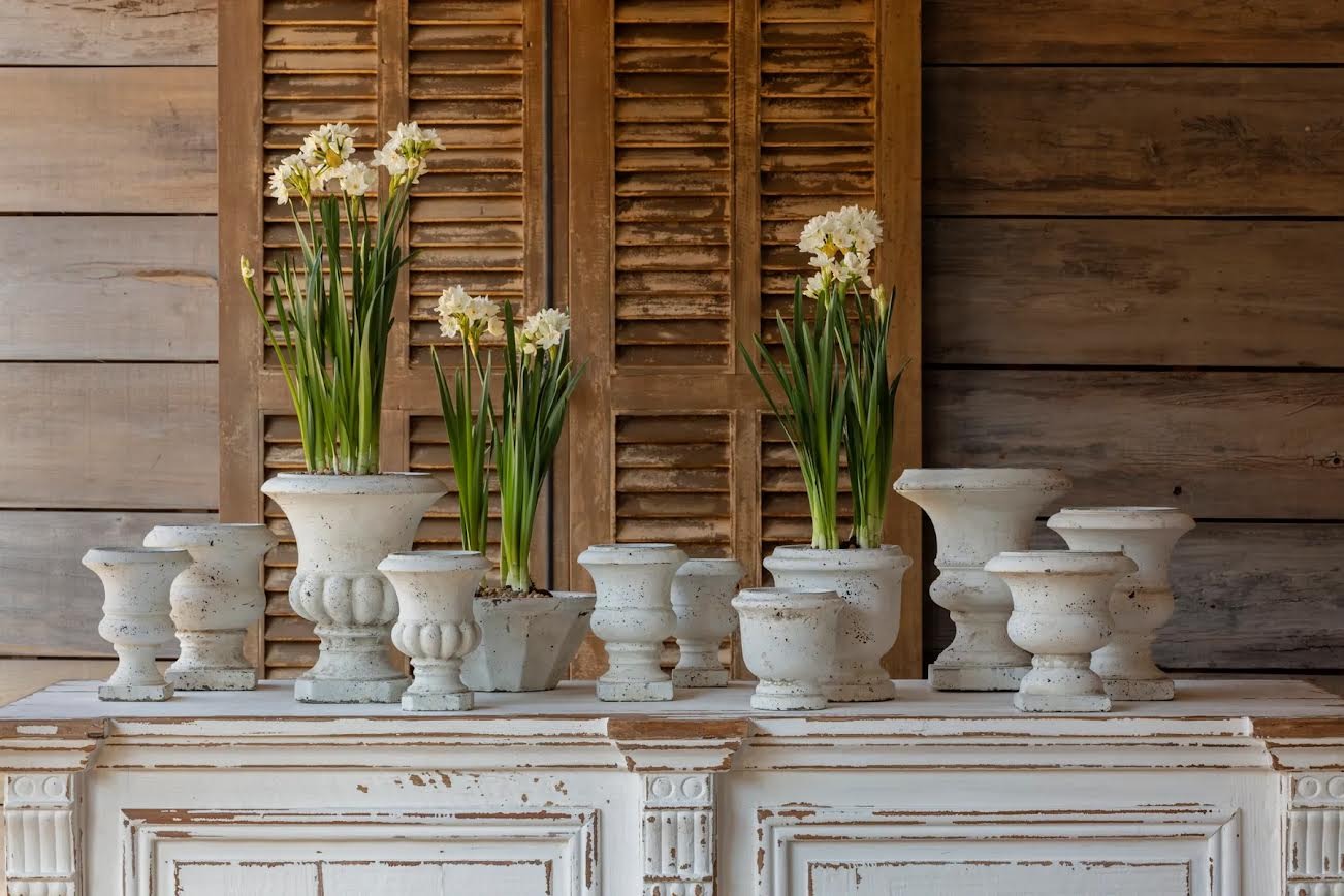 outdoor farmhouse garden plants