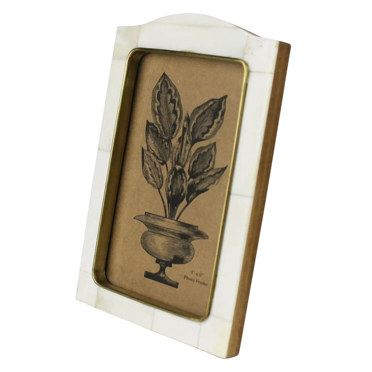 White Bone Frame