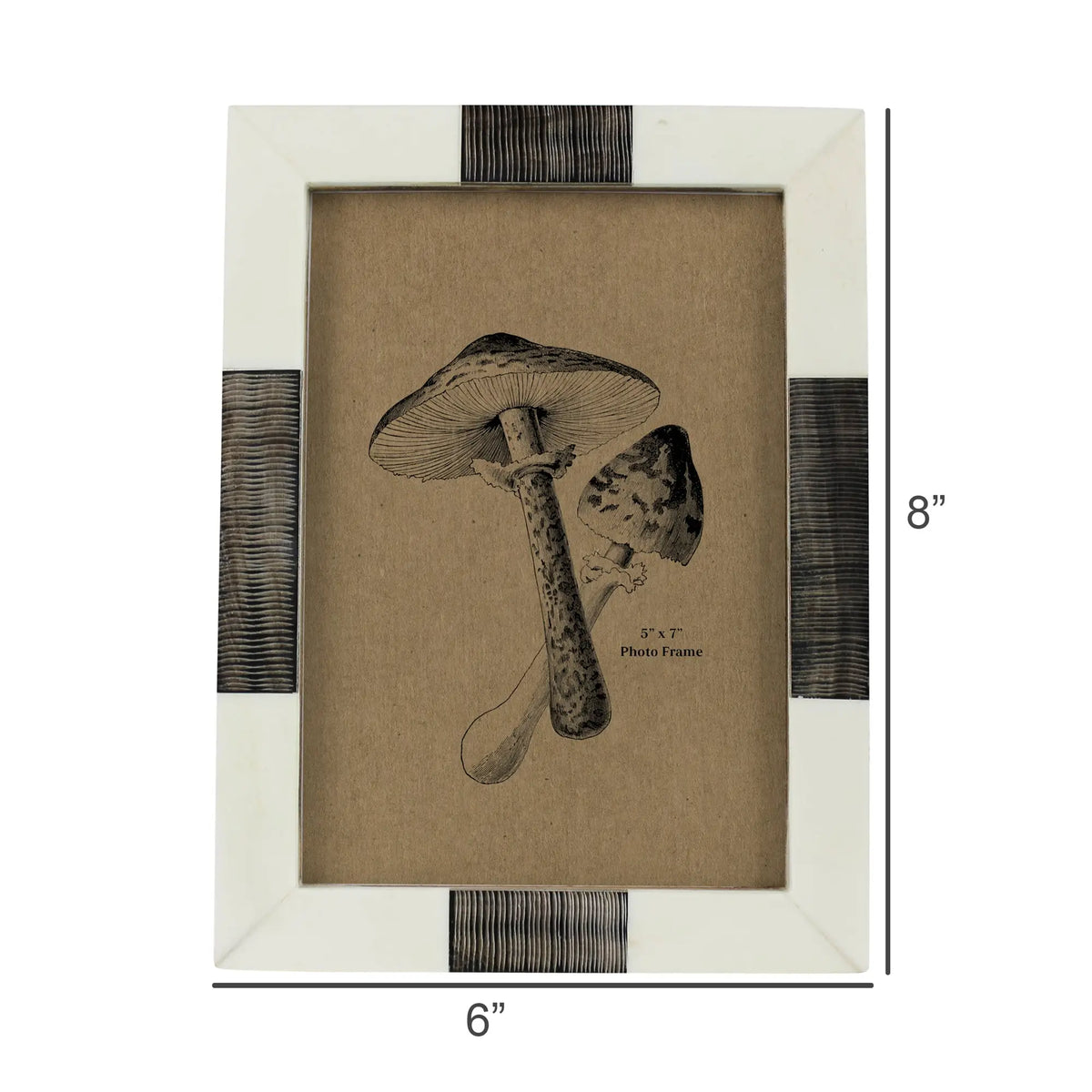 Bone & Chagrin Horn Frame