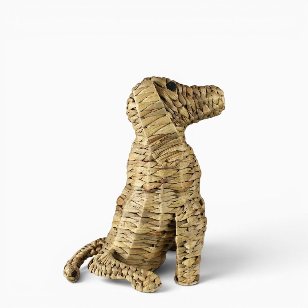 Water Hyacinth Sitting Dog