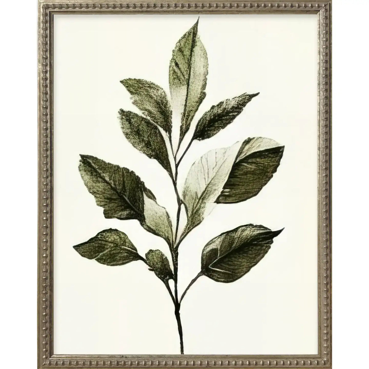 Green Botanicals Silver Bead Gallery Frame Art Set