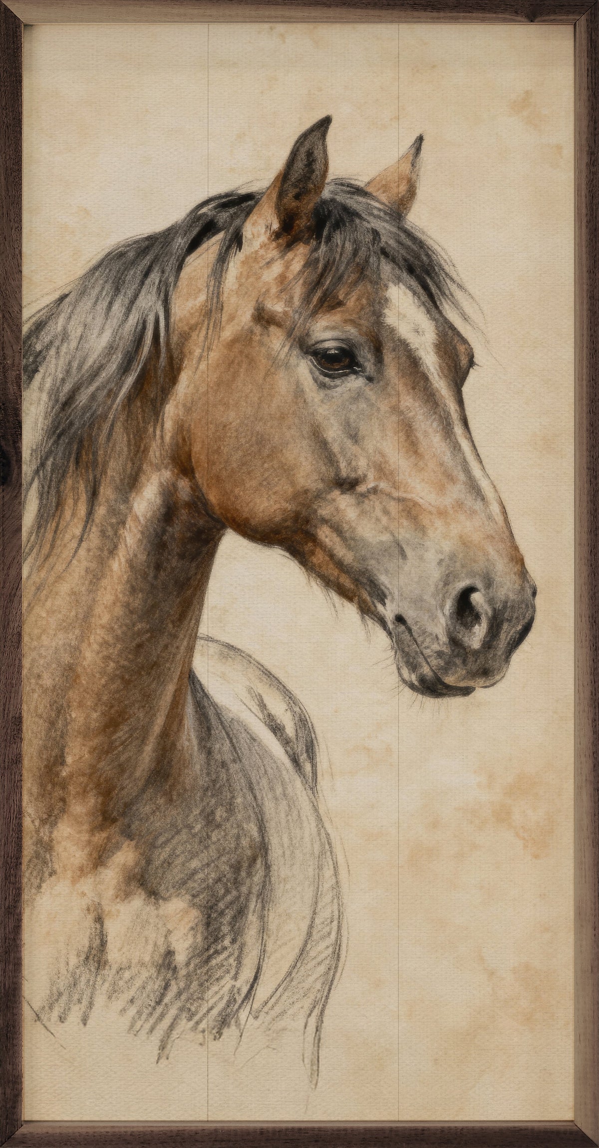 Horse Pencil Study Wood Framed Print