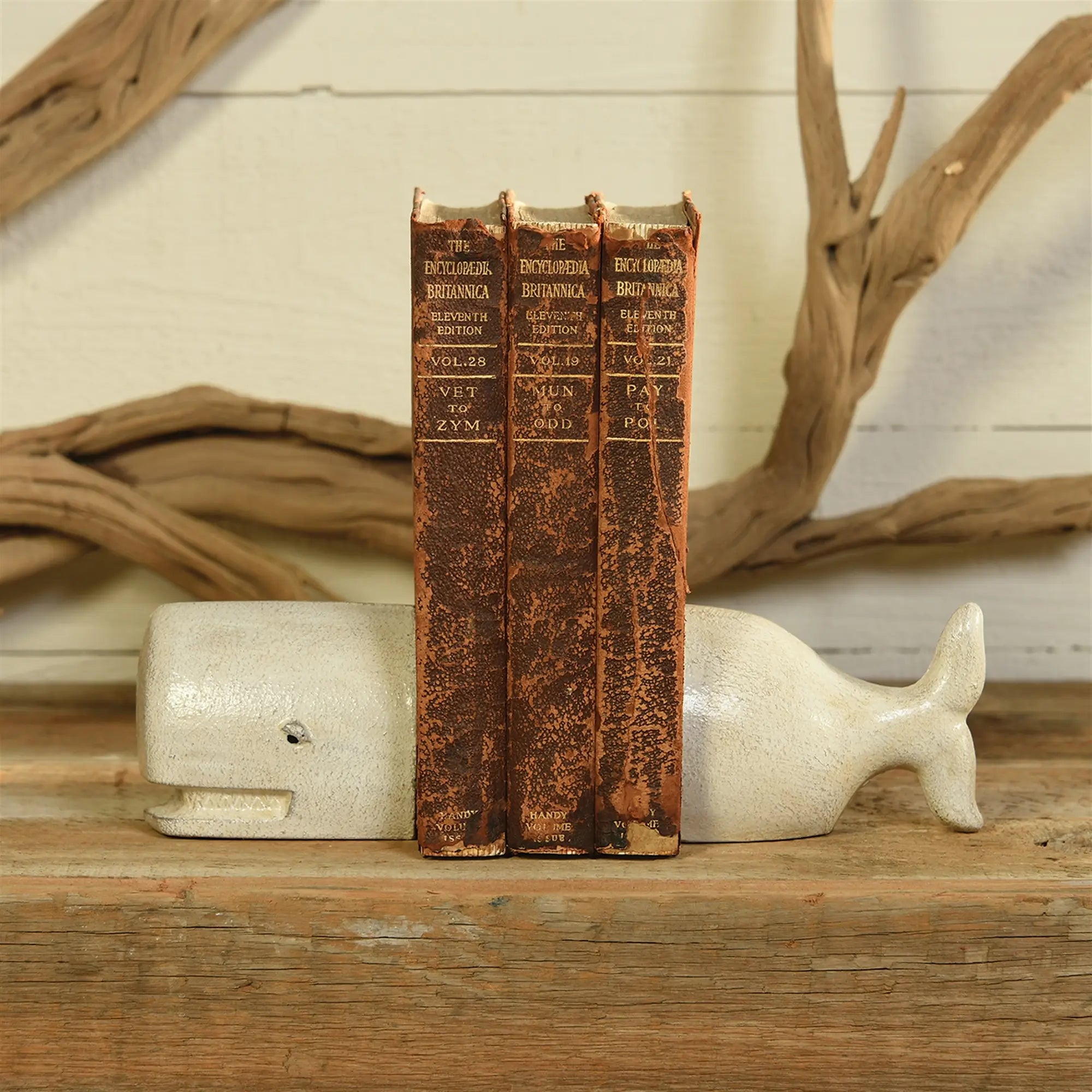 Cast Iron Whale Bookends