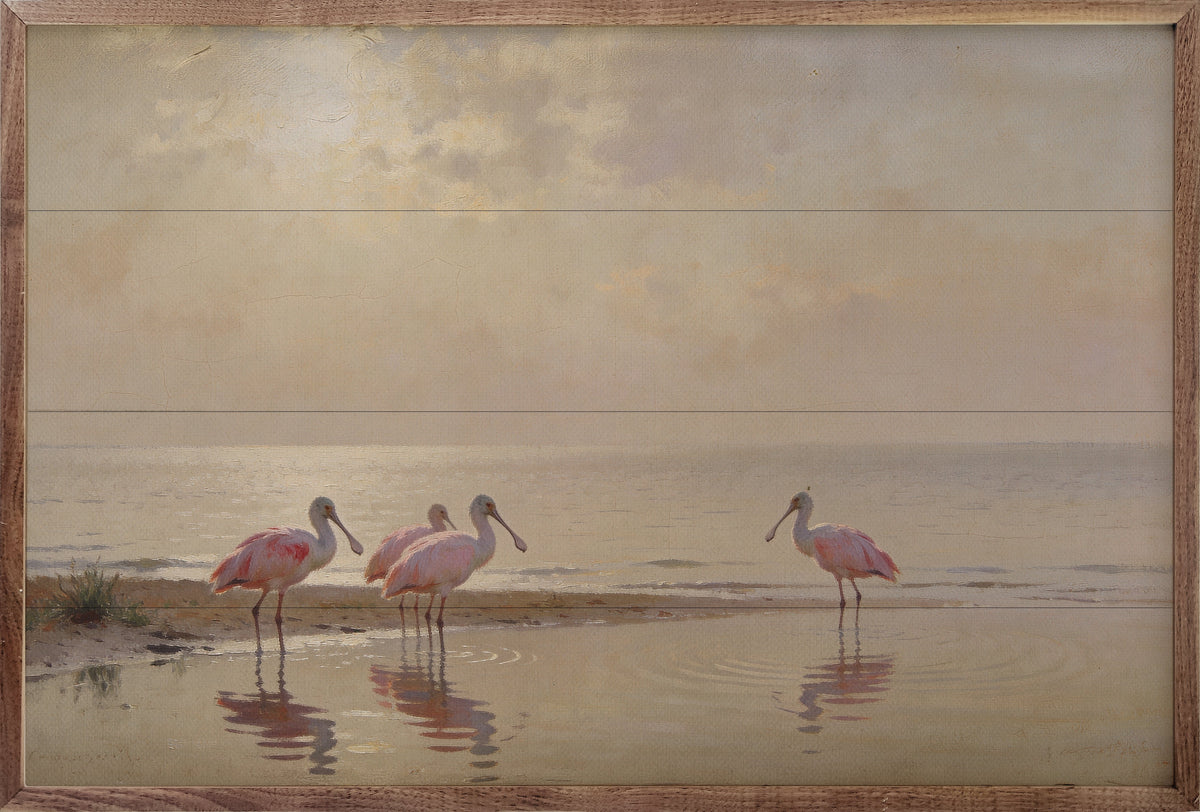 Roseate Spoonbills At Low Tide Wood Framed Print