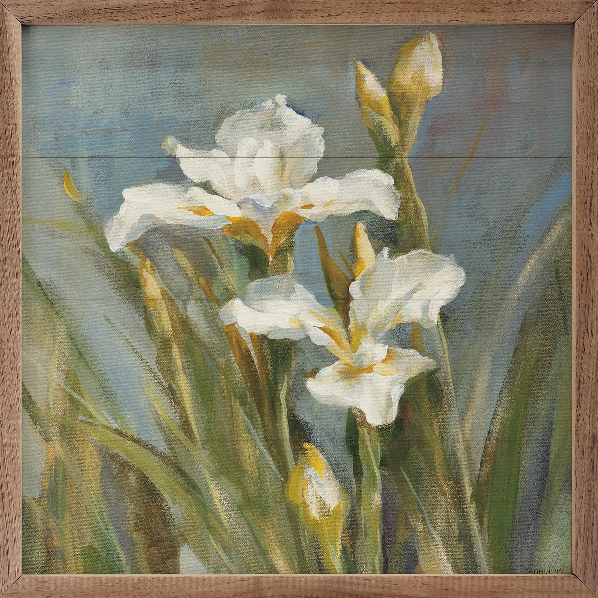 Spring Iris II By Danhui Nai Wood Framed Print