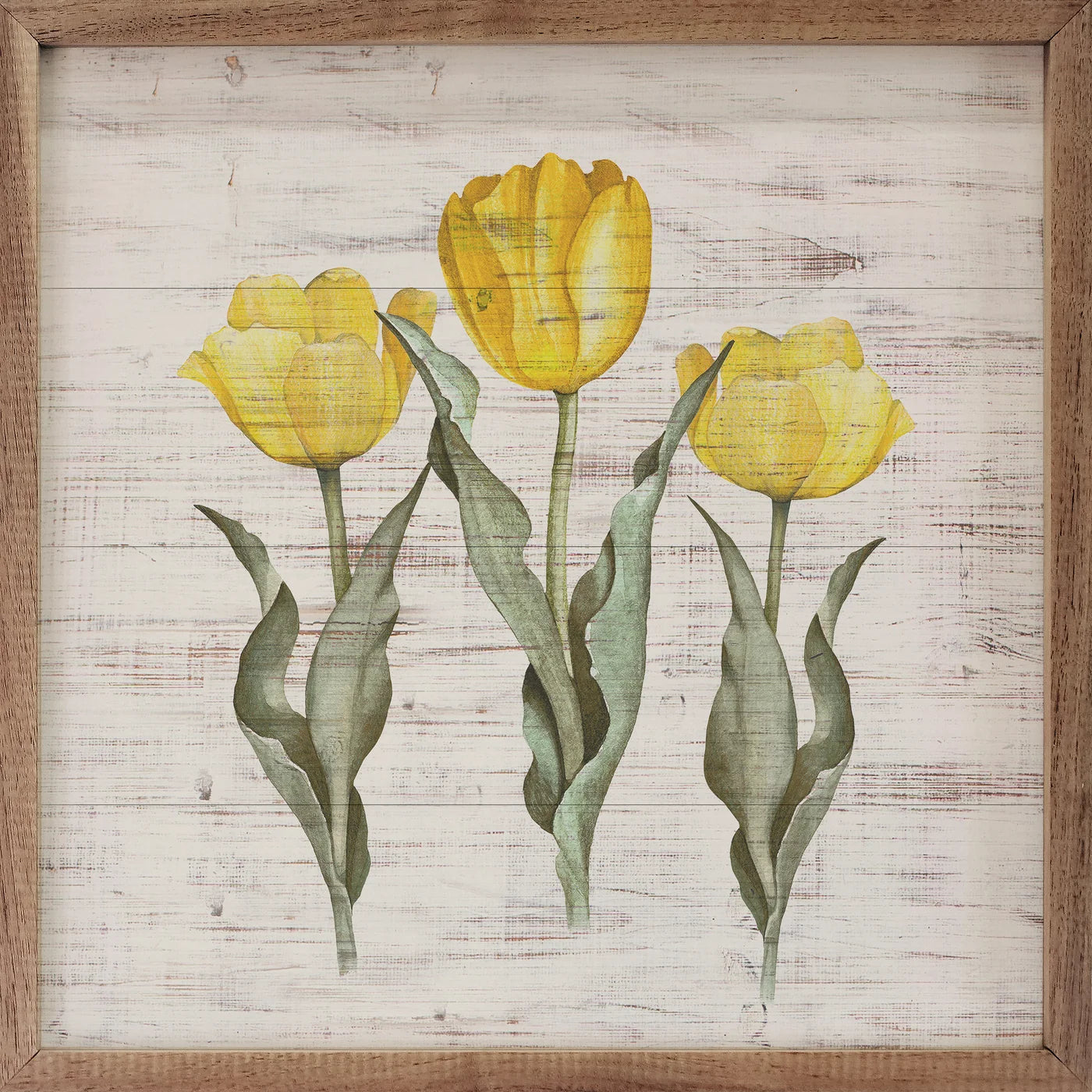 Tulip Trio Whitewash Wood Framed Print