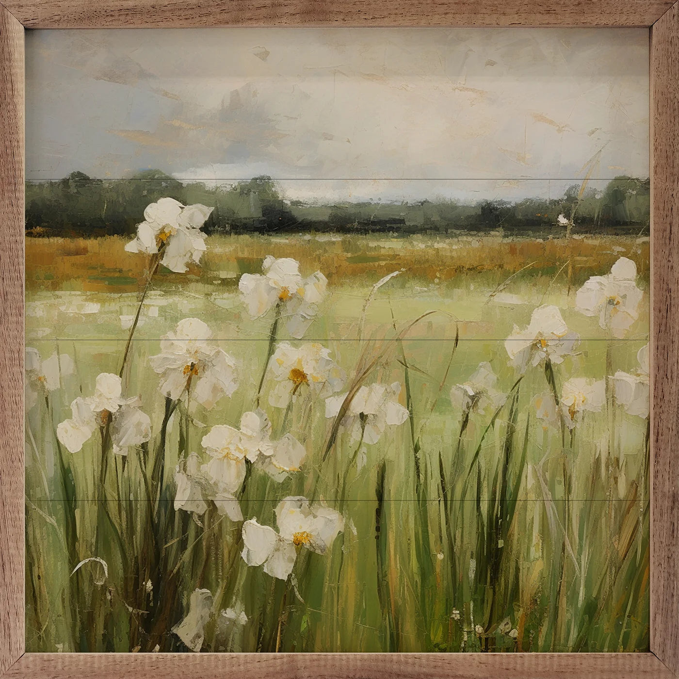 Wild White Irises By Gina Kelly Wood Framed Print