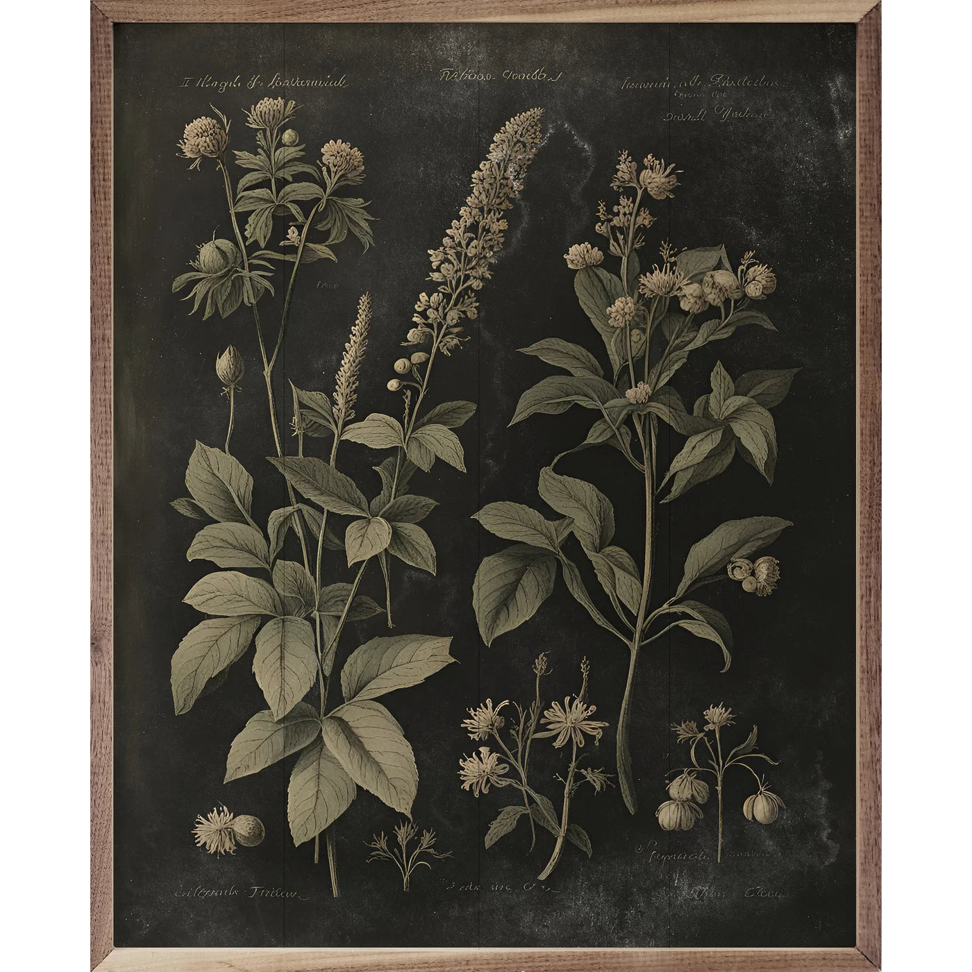Vintage Neutral Floral Print Black Wood Framed Print