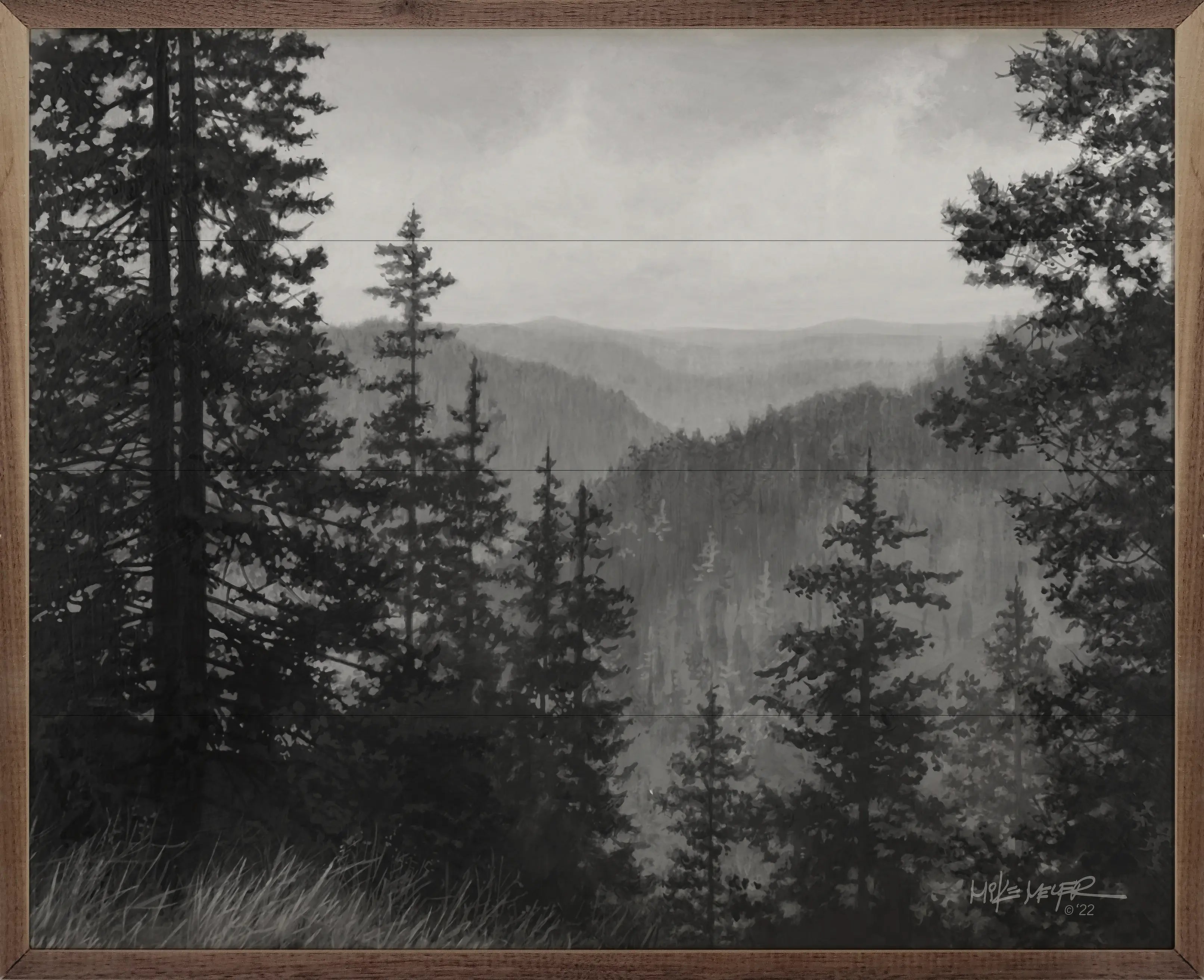 Smokies Wood Framed Print