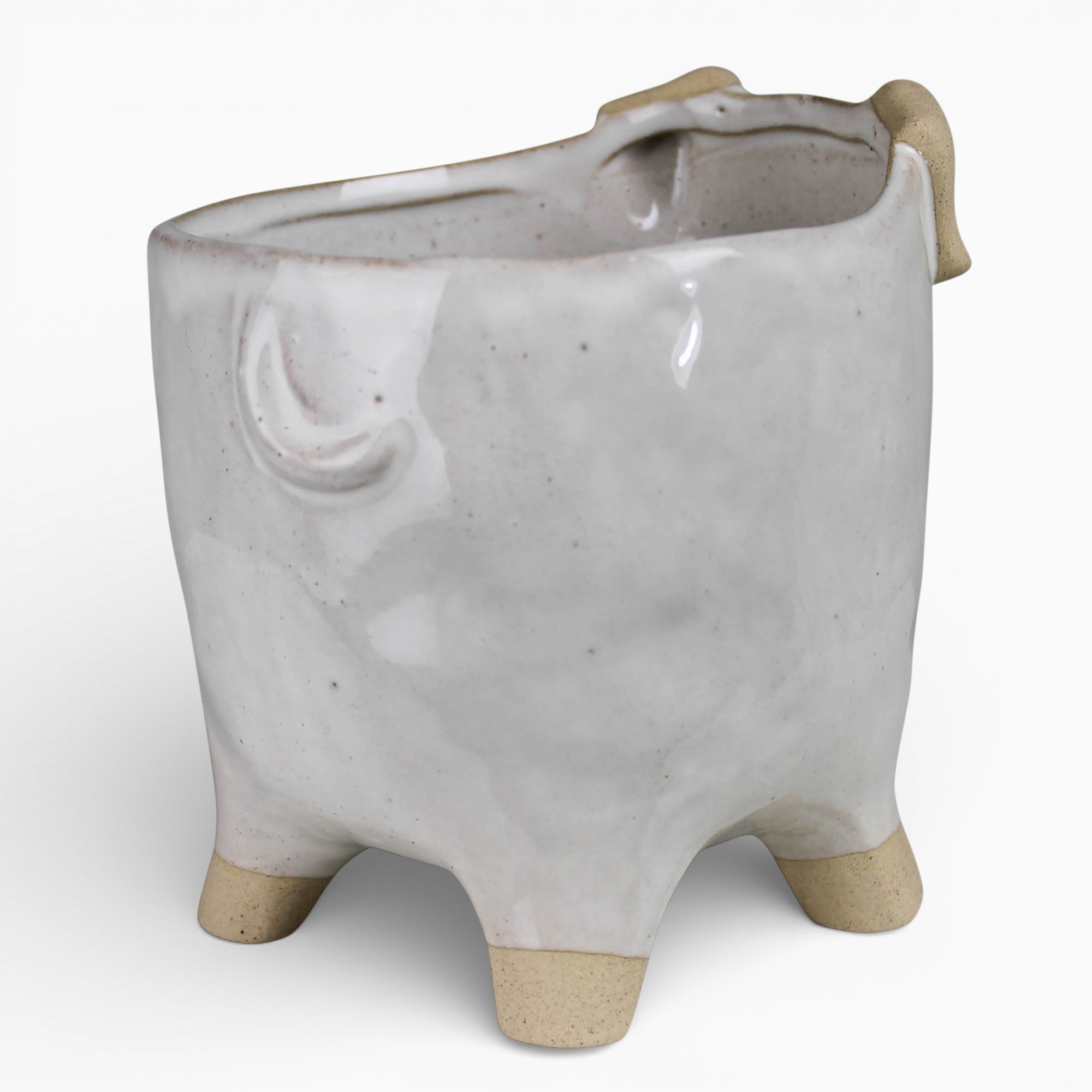 Ceramic Pet Cachepot