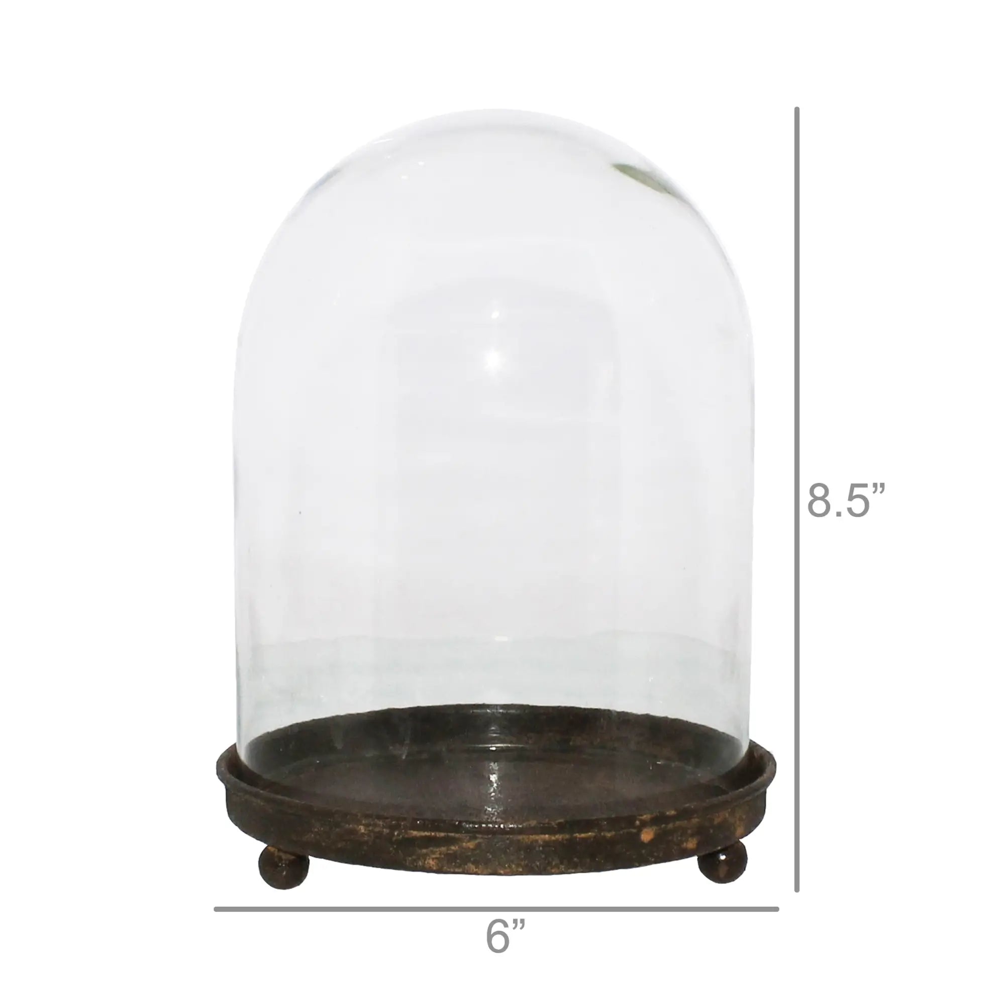 Glass & Metal Mirabelle Vitrine Cloche