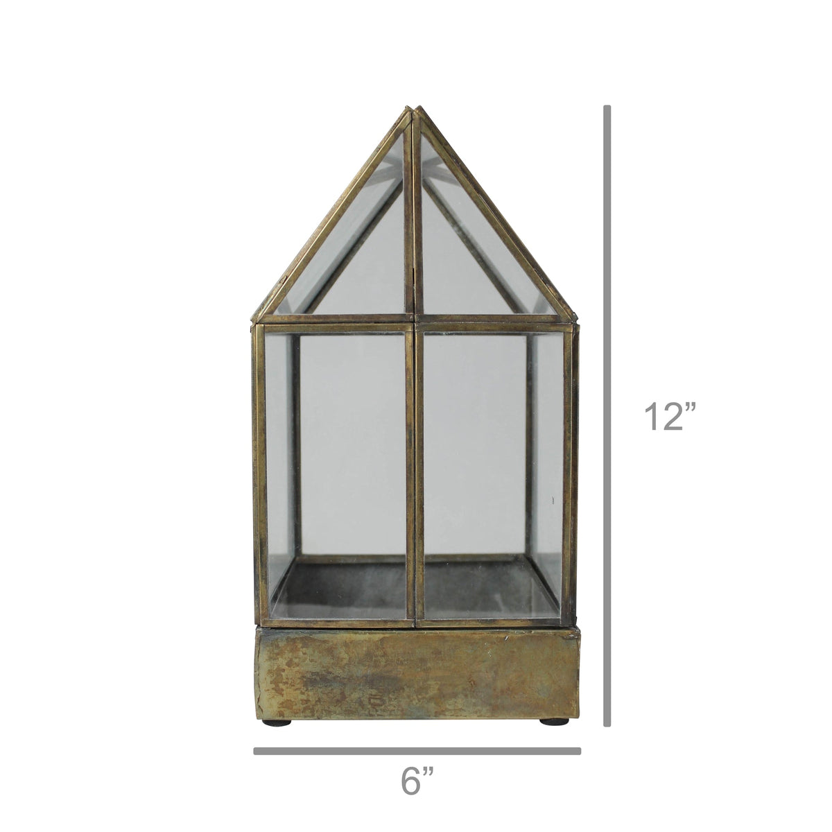 Pike Terrarium
