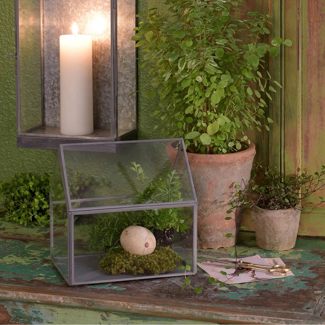 Pierre Cottage Glass Terrarium