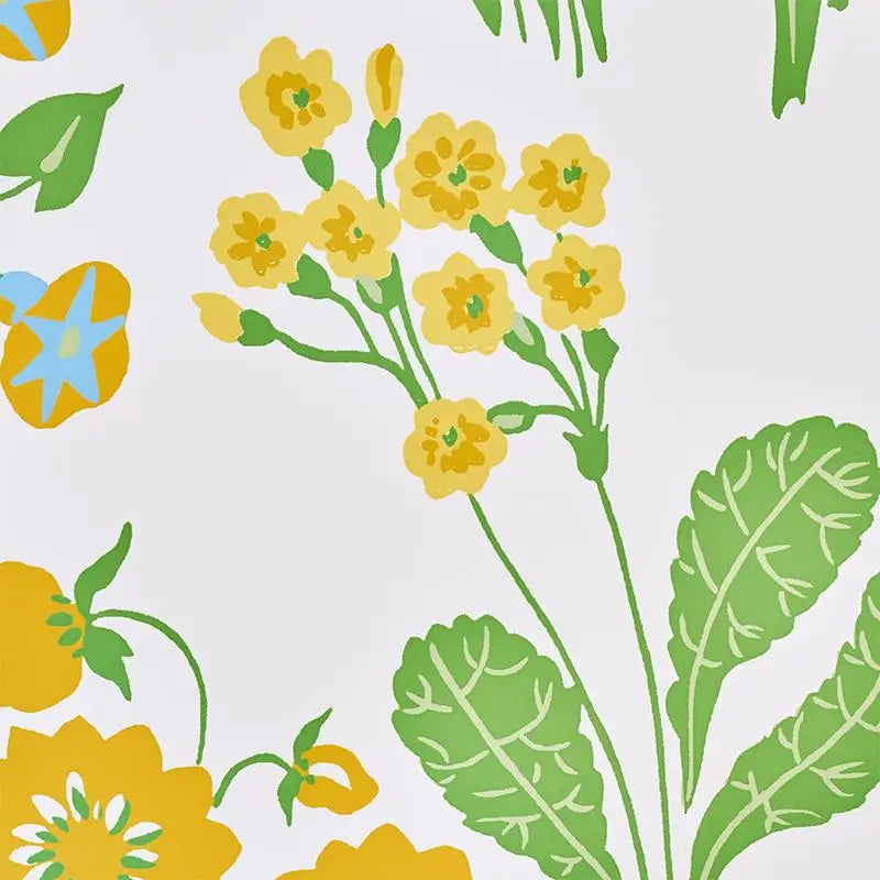 Schumacher Carly Wallpaper