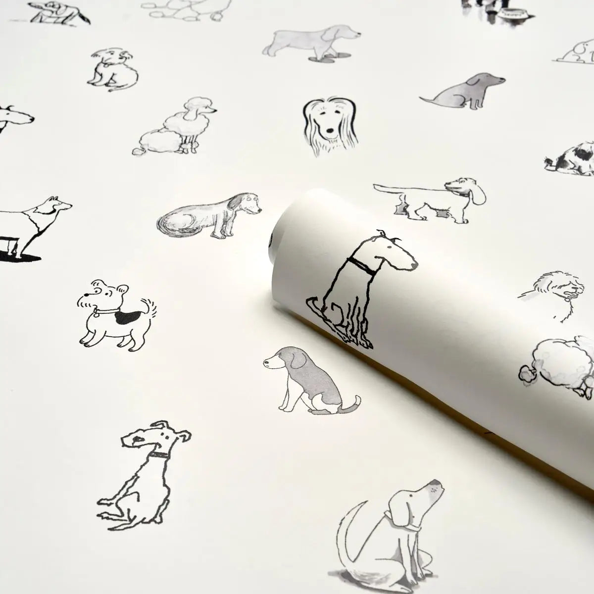 Schumacher Good Dogs Everywhere Wallpaper