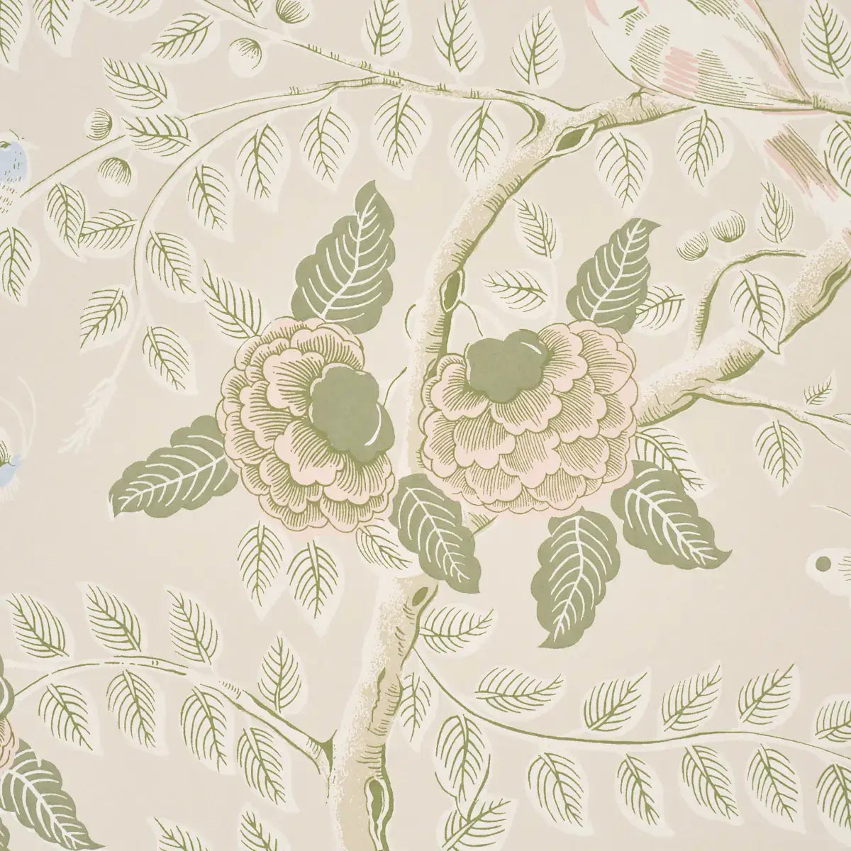 Schumacher Tole Bird Wallpaper