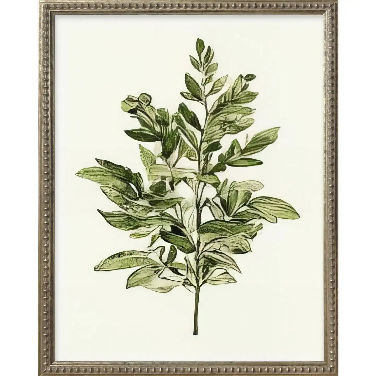 Green Botanicals Silver Bead Gallery Frame Art Set