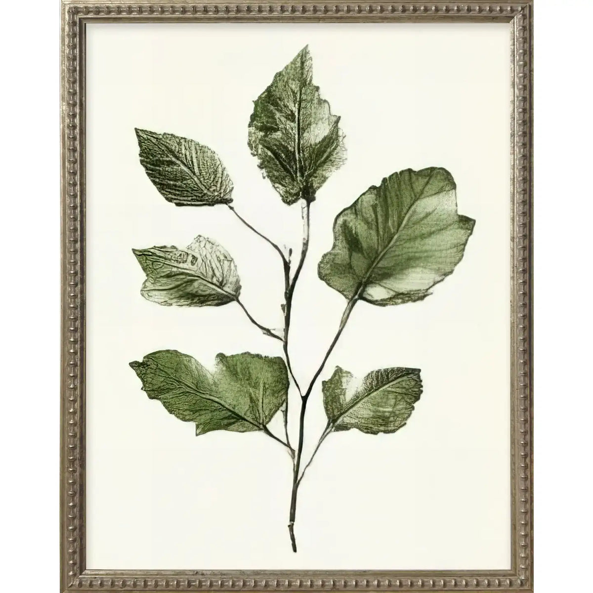Green Botanicals Silver Bead Gallery Frame Art Set
