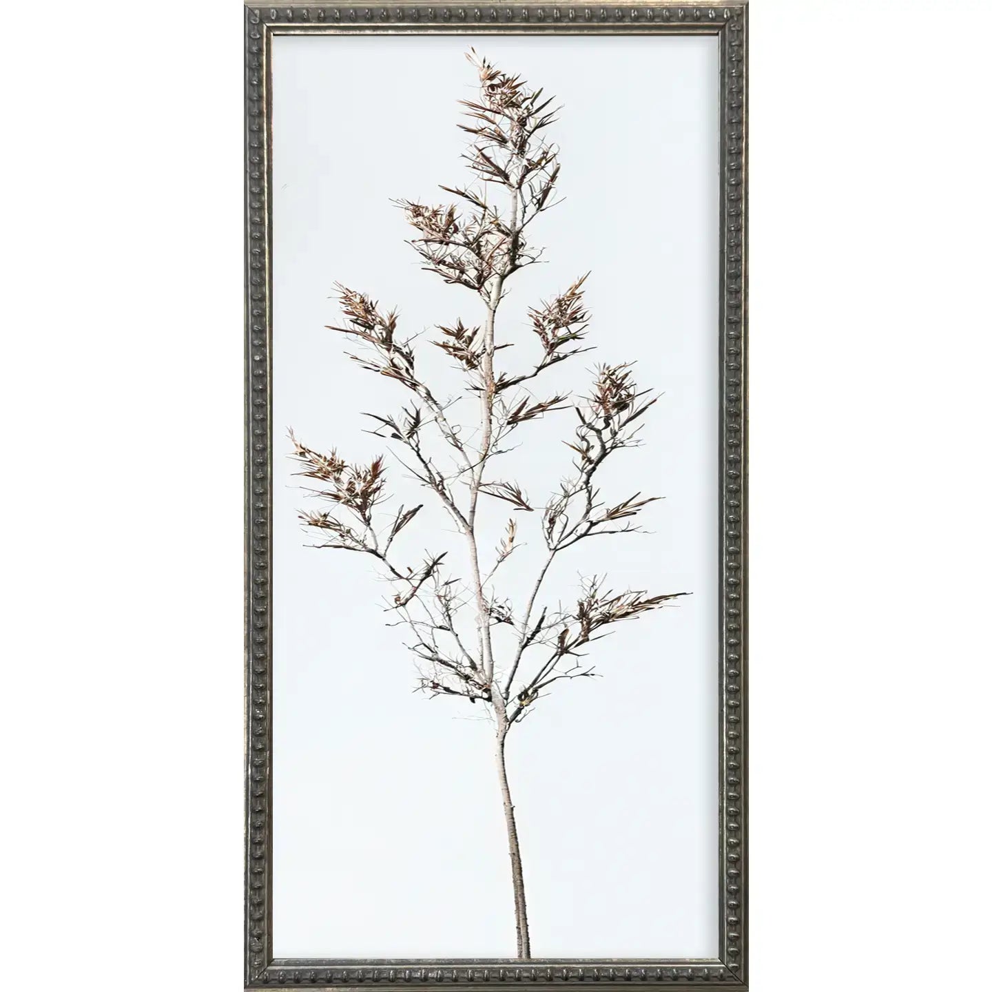 Whispy Botanicals Silver Bead Gallery Frame Art Set