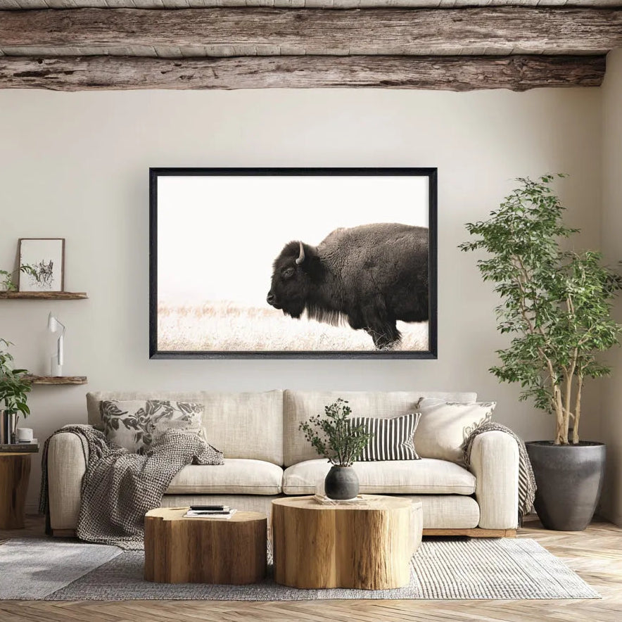 Buffalo On Plains Art Print