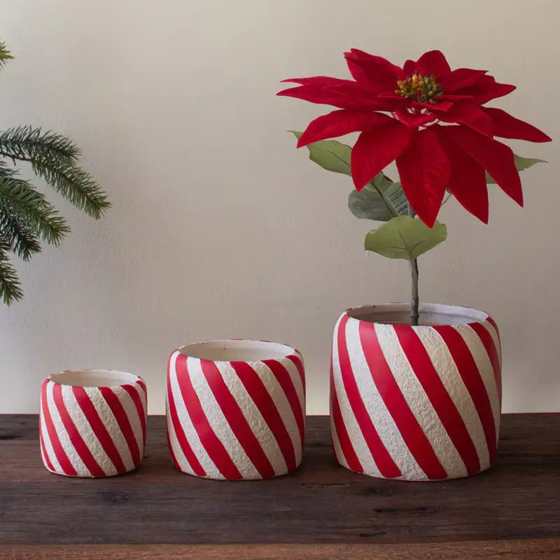 Concrete Candy Cane Planter Set