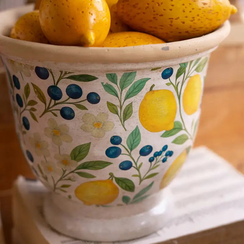 Cement Lemons Pitcher & Planter Set