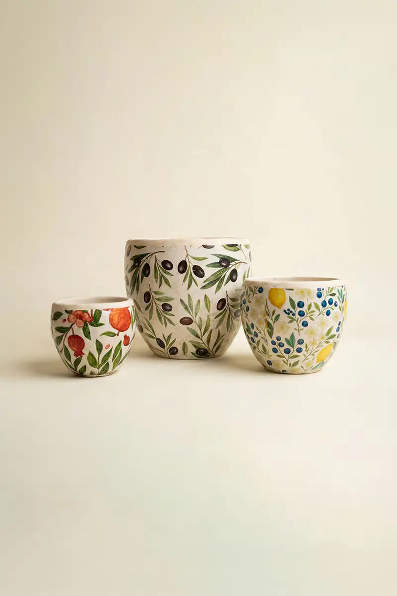 Fruitful Cement Planter Set