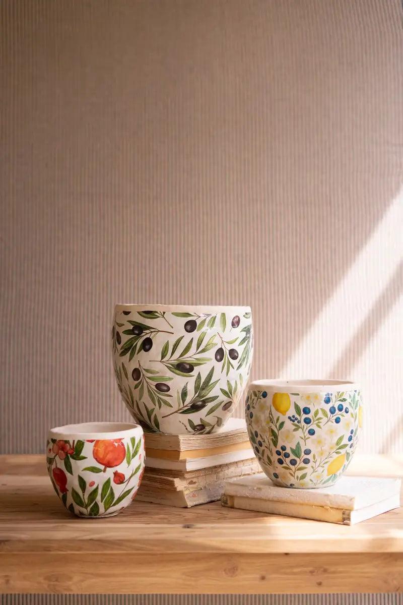 Fruitful Cement Planter Set