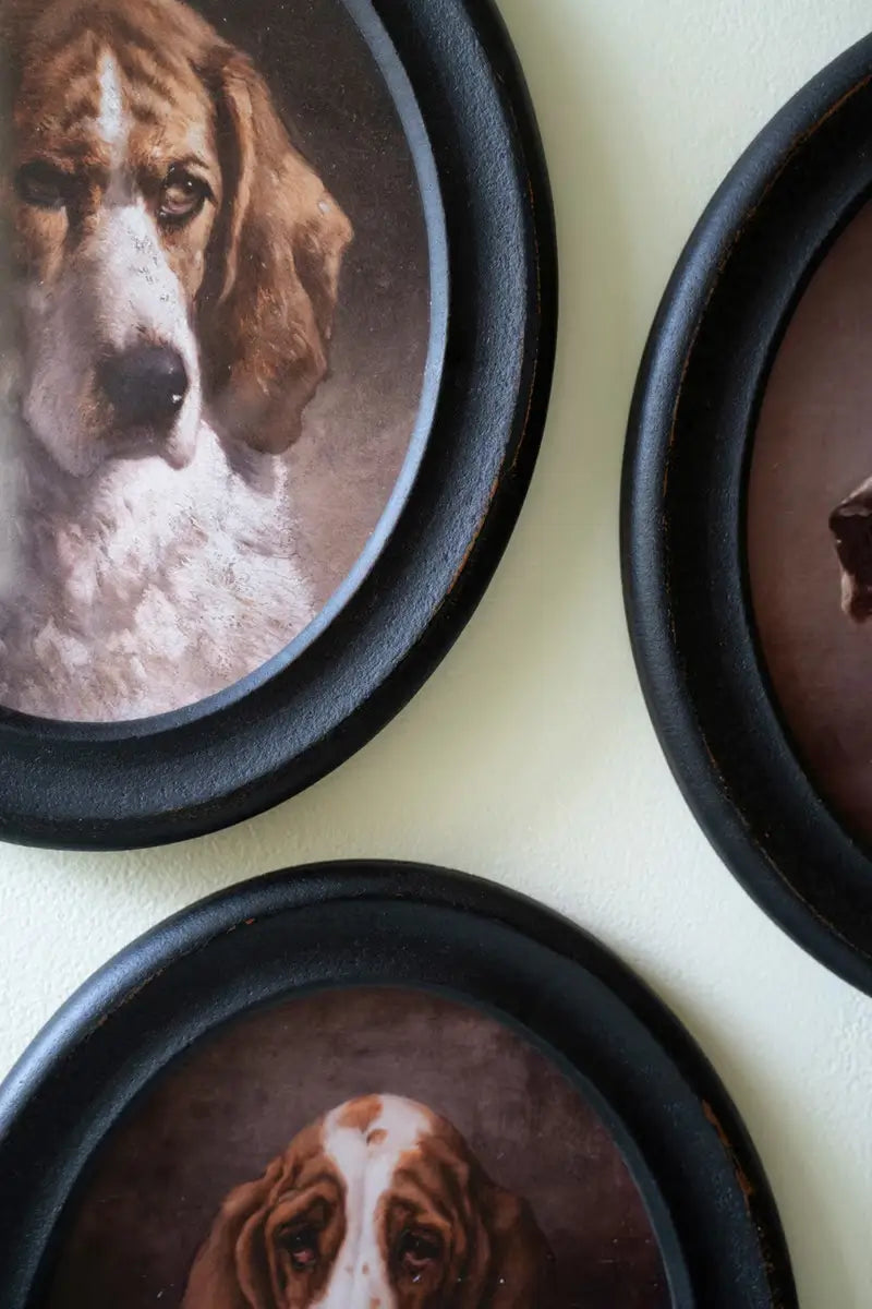 Framed Oval Hound Print Set