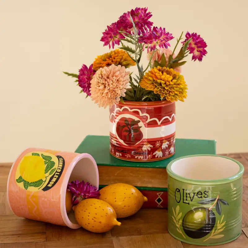 Ceramic Canned Goods Planter Set