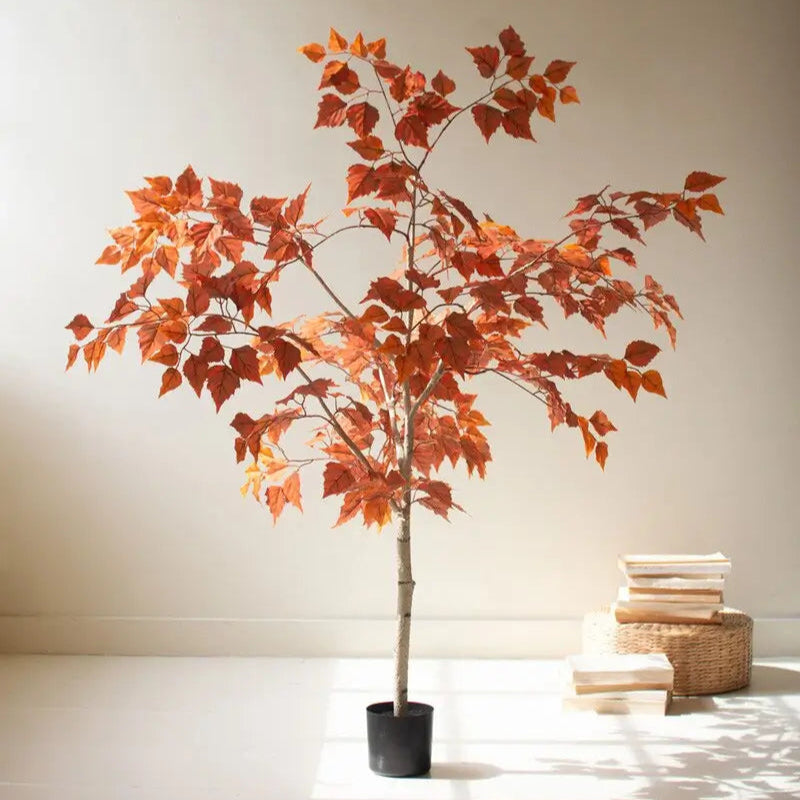 Autumn Birch Tree In Black Pot