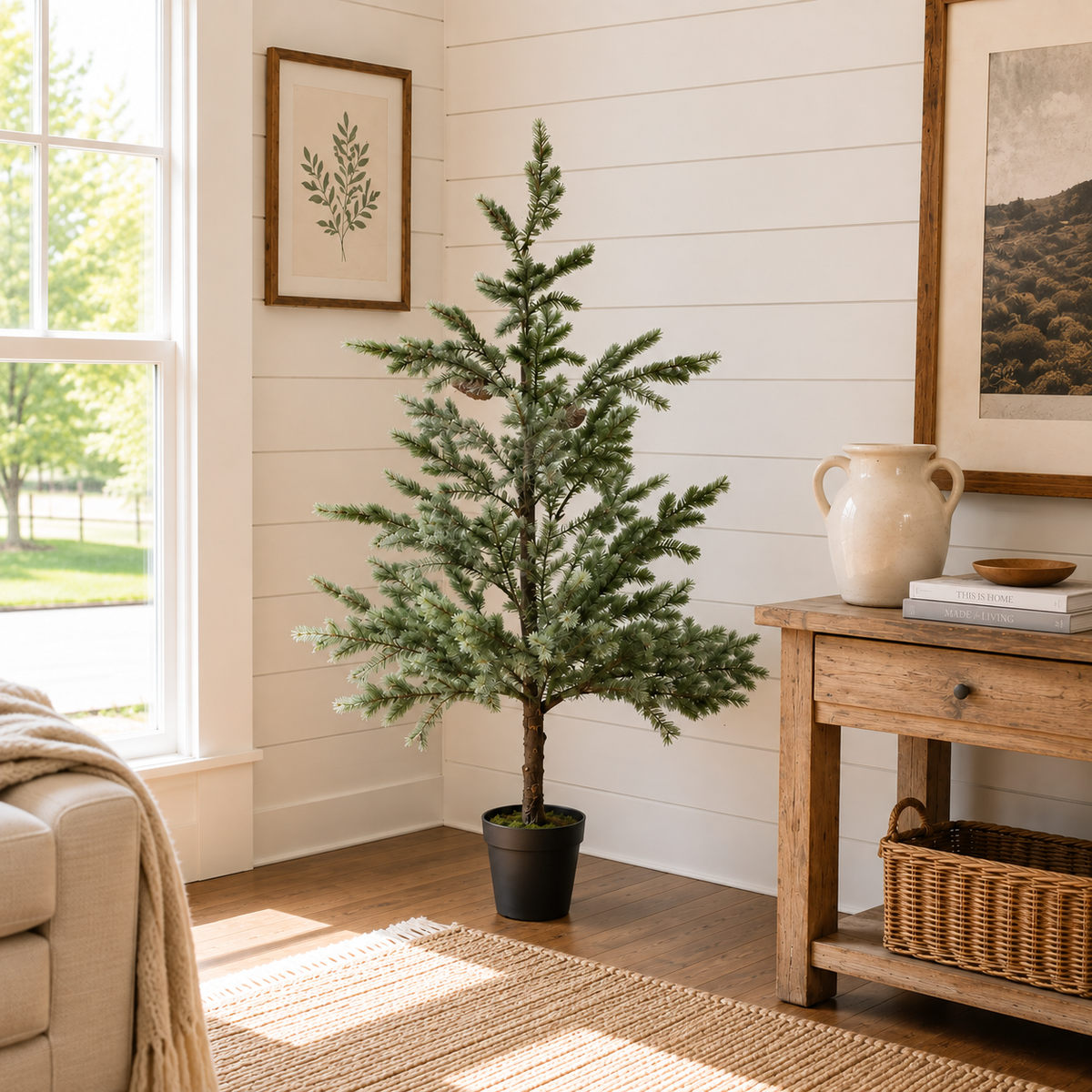 Sage Copley Pine Tree In Pot