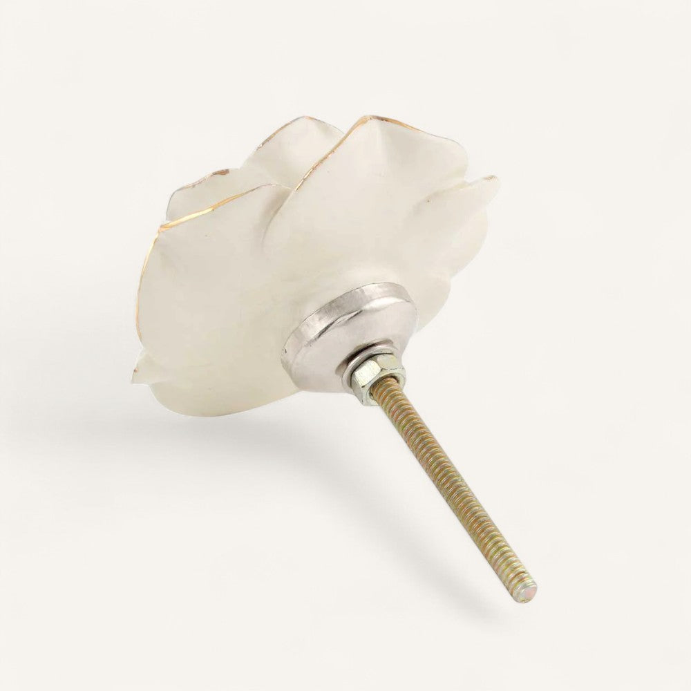 Cream & Gold Rose Knob