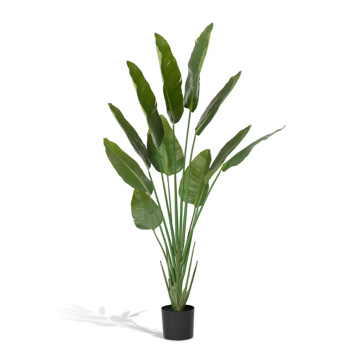 Faux Traveler Palm With Black Pot