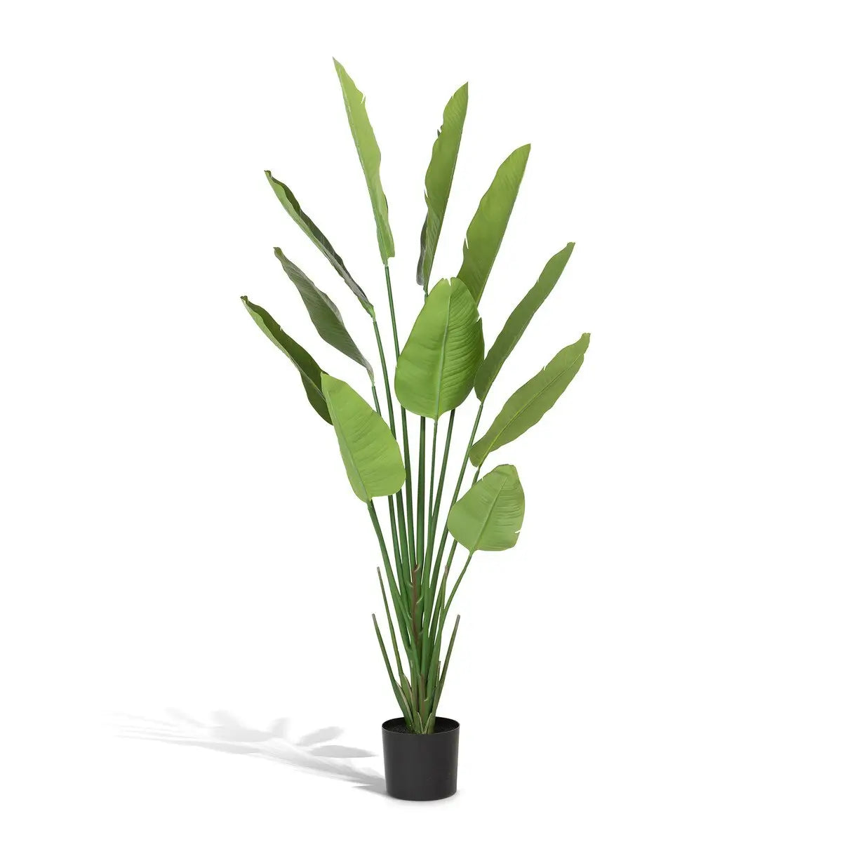 Faux Traveler Palm With Black Pot