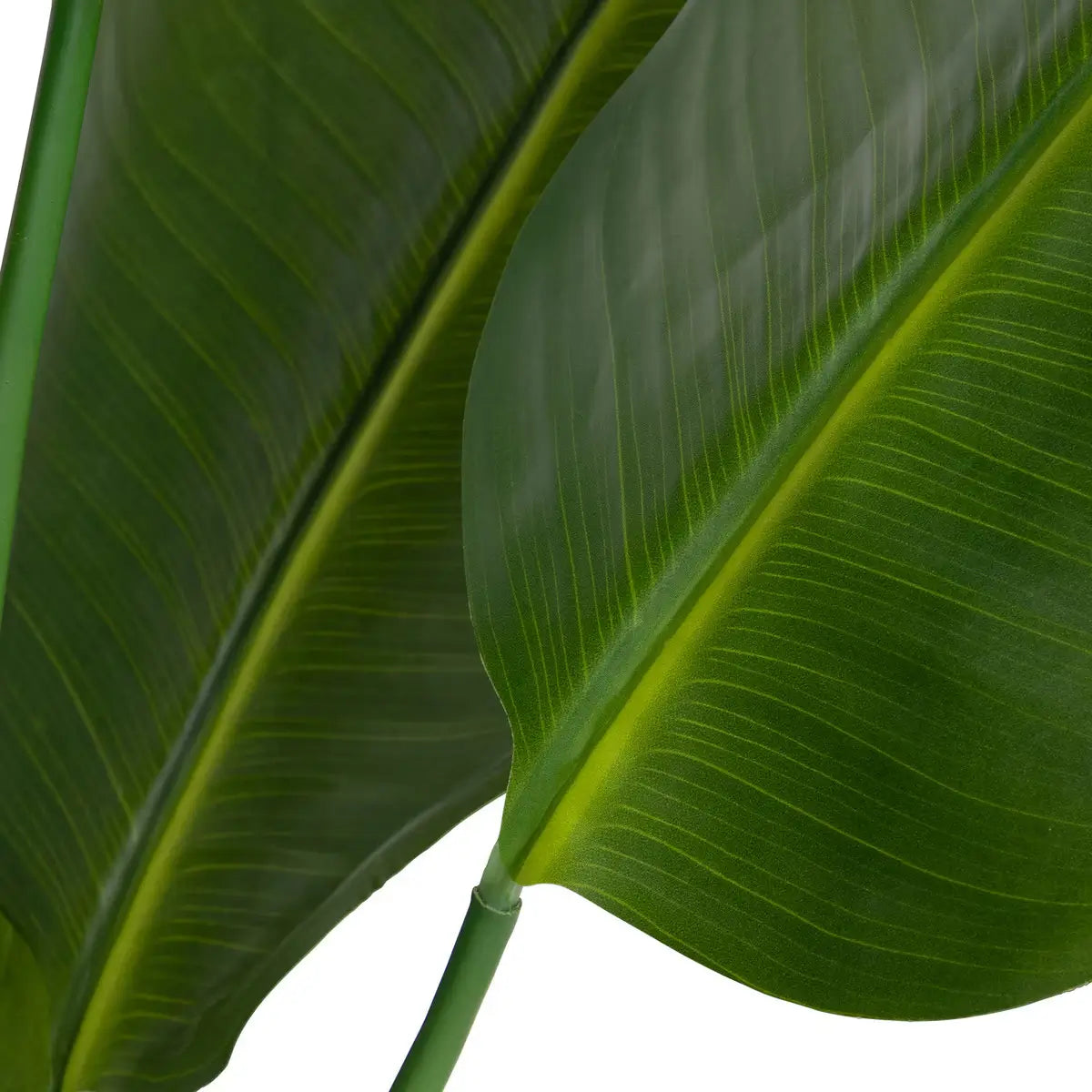 Faux Traveler Palm With Black Pot