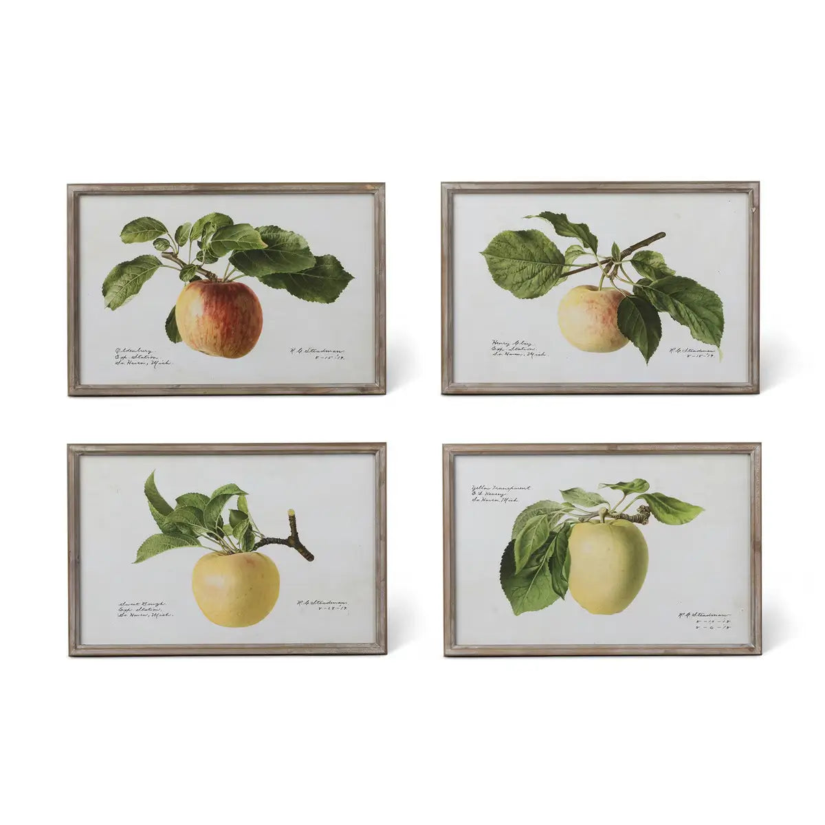 Vintage Orchard Framed Fruits Wall Art Print Set