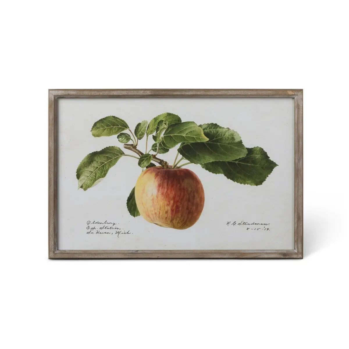 Vintage Orchard Framed Fruits Wall Art Print Set