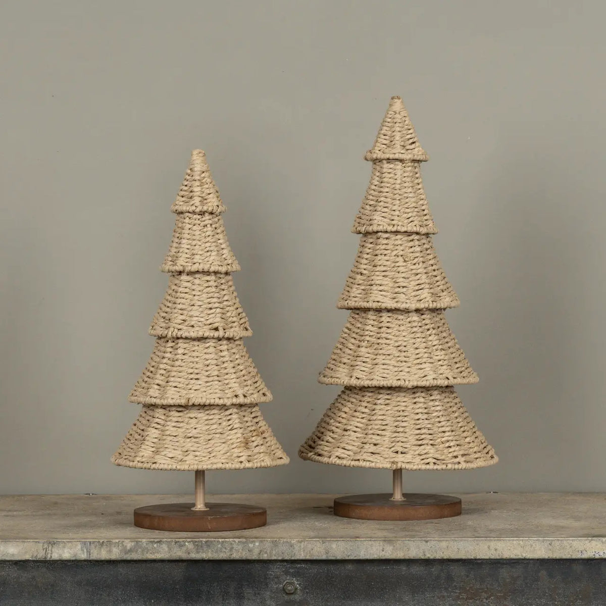 Rattan Tree