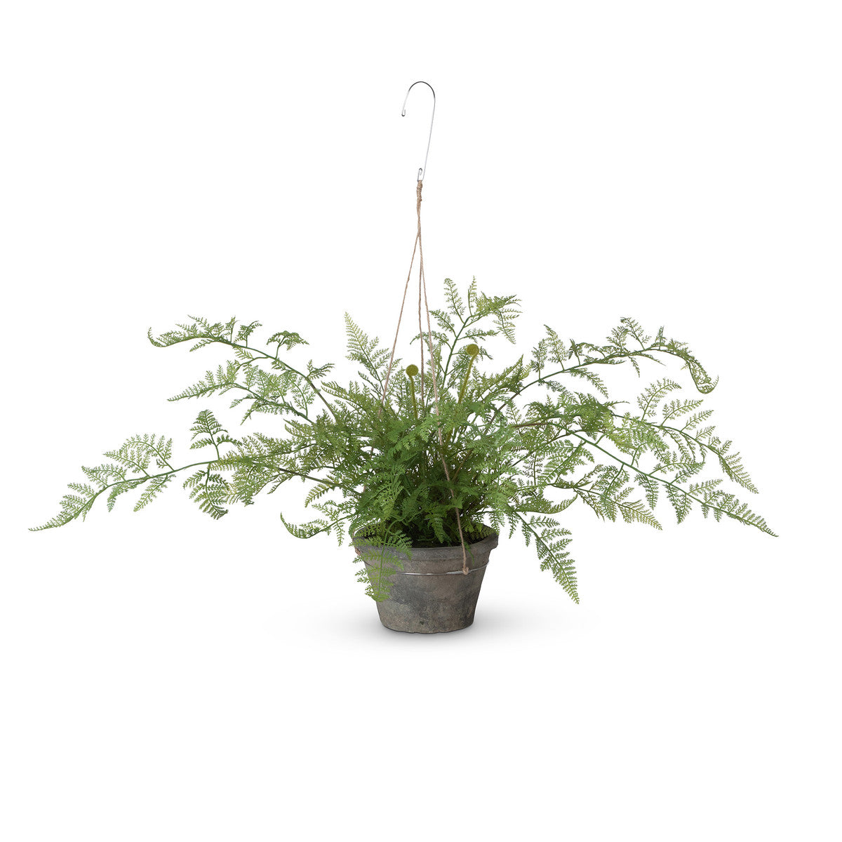 Large Potted Hanging Fern