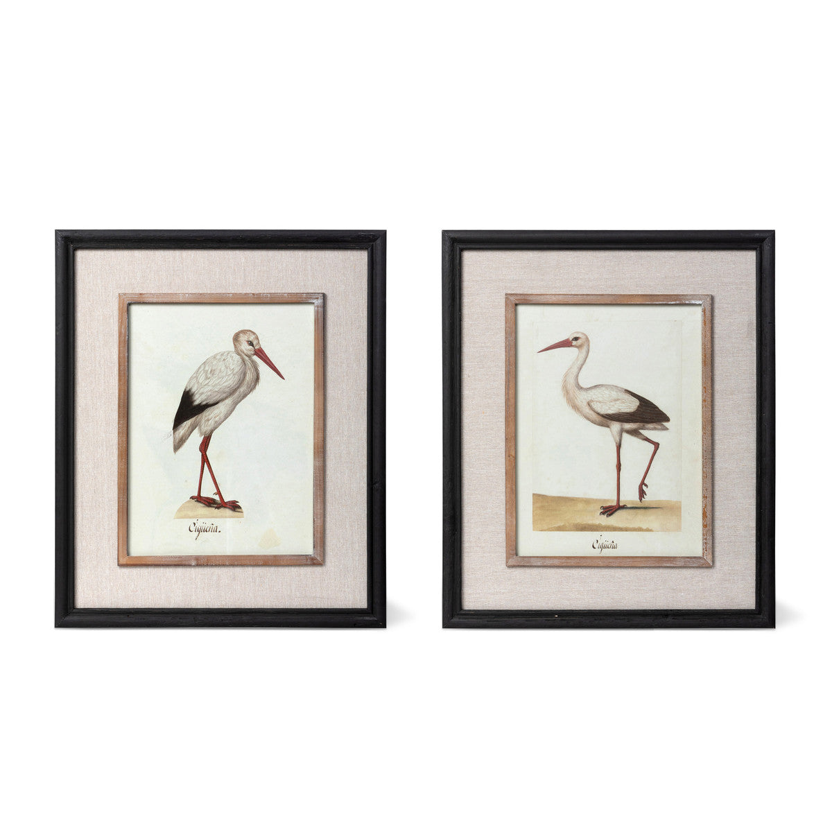 Coastal Heron Framed Print Set