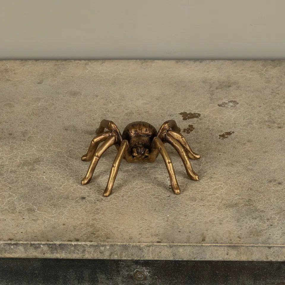 Gold Tarantula