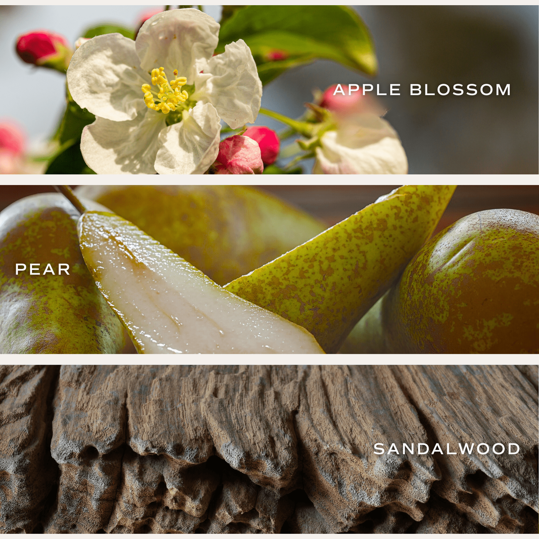 Gold Floral Translucent Tinted Glass Jar Candle