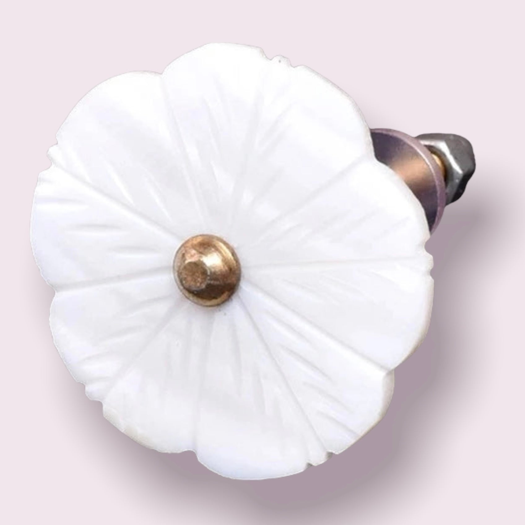 Mother of Pearl White Flower Knob