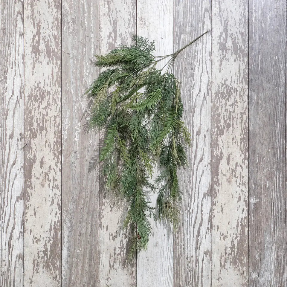 Cedar & Hemlock Hanging Vine