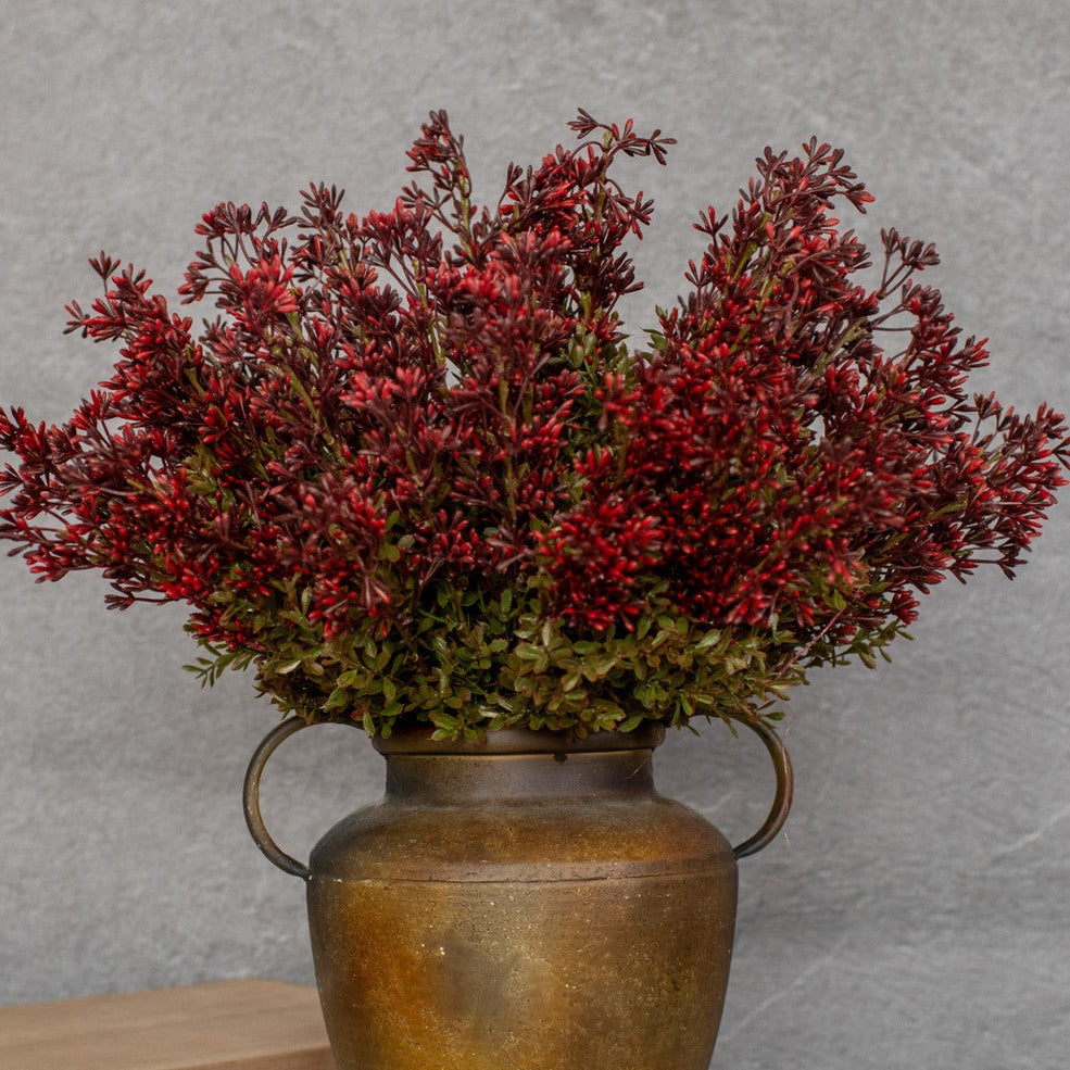New England Boxwood & Berry Bush