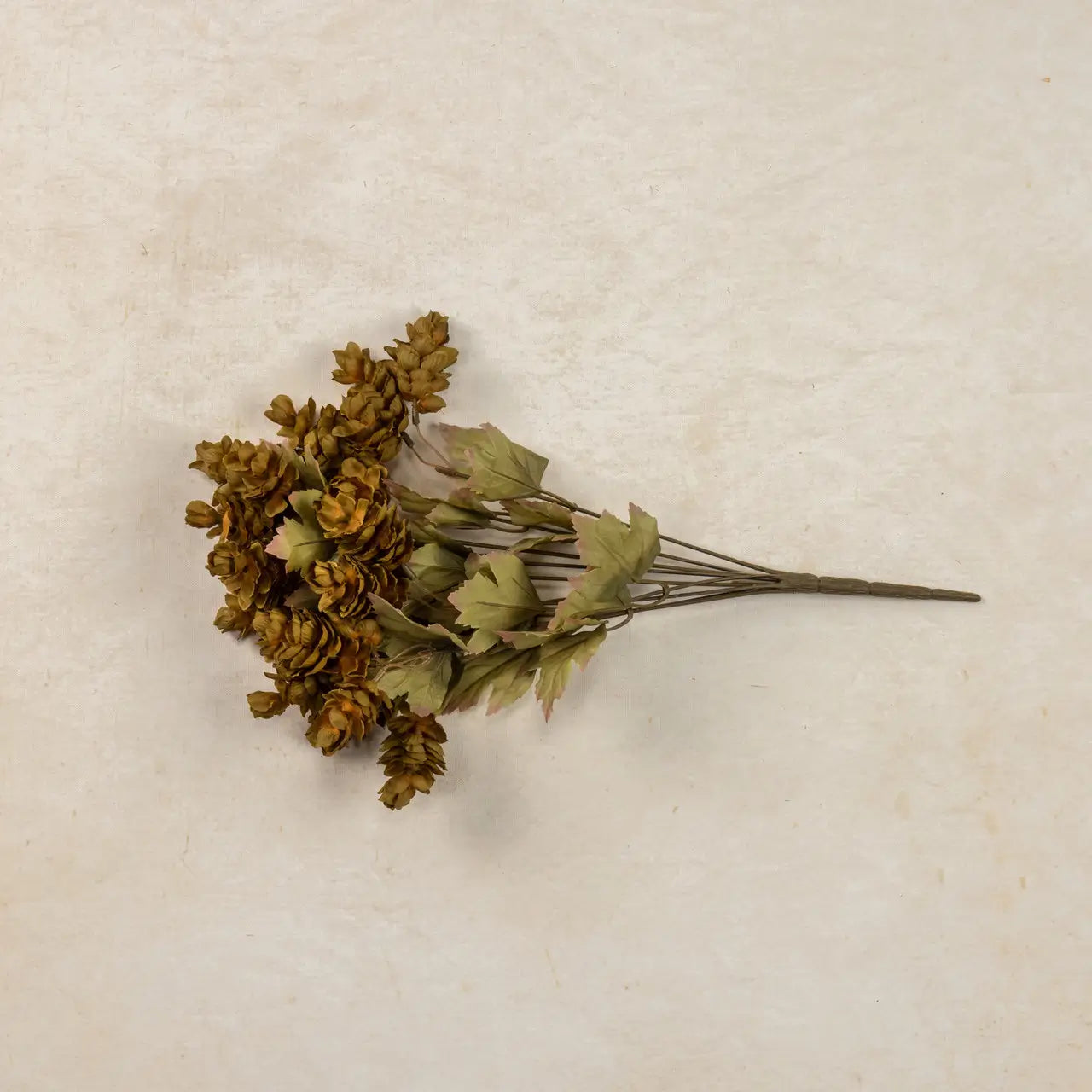 Green Hops Bush With Fall Leaves