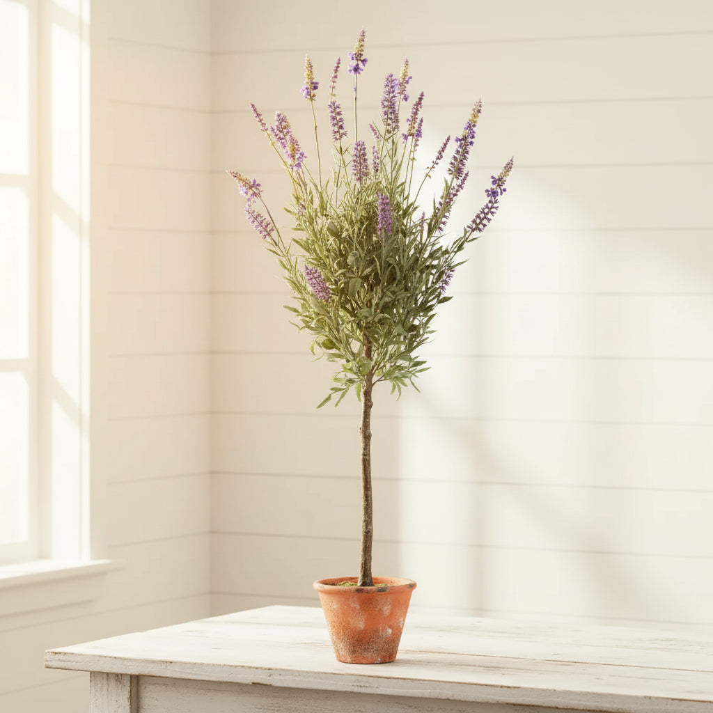 Potted Lavender Tree