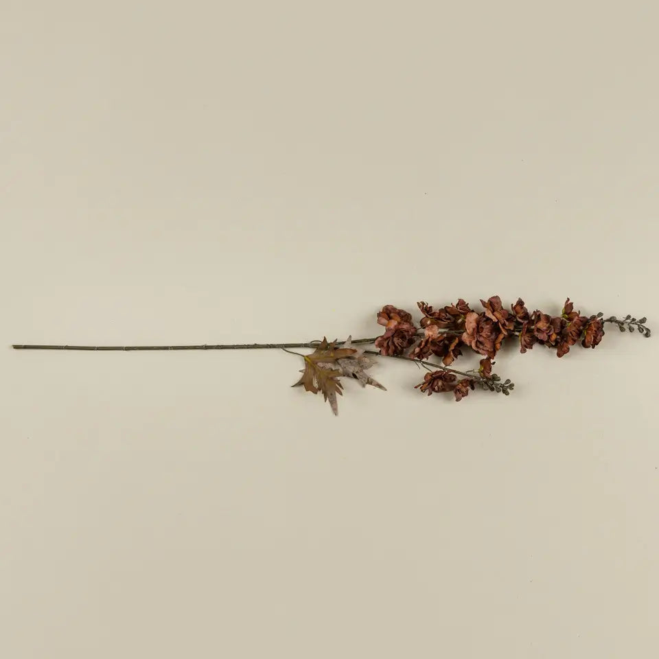 Brown Larkspur Spray
