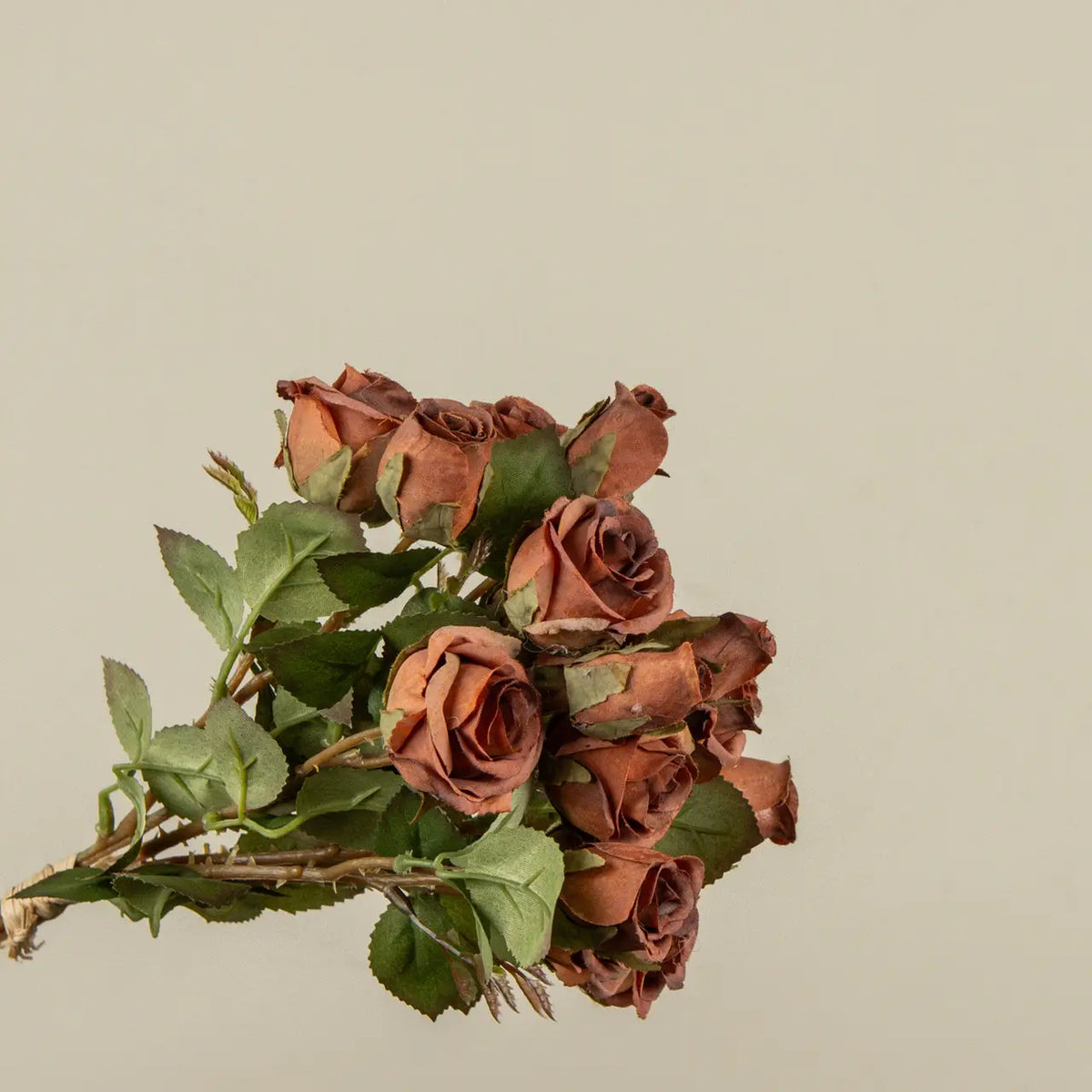 Sunset Dried Mini Rose Bundles